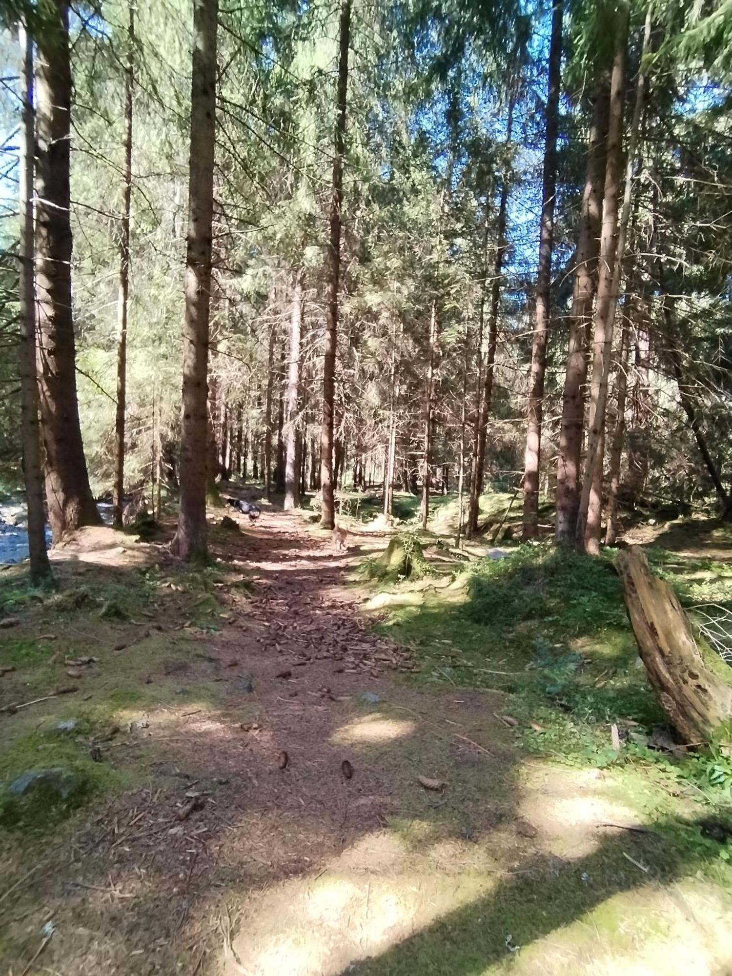Penzion Real Žiar Eksteriør bilde