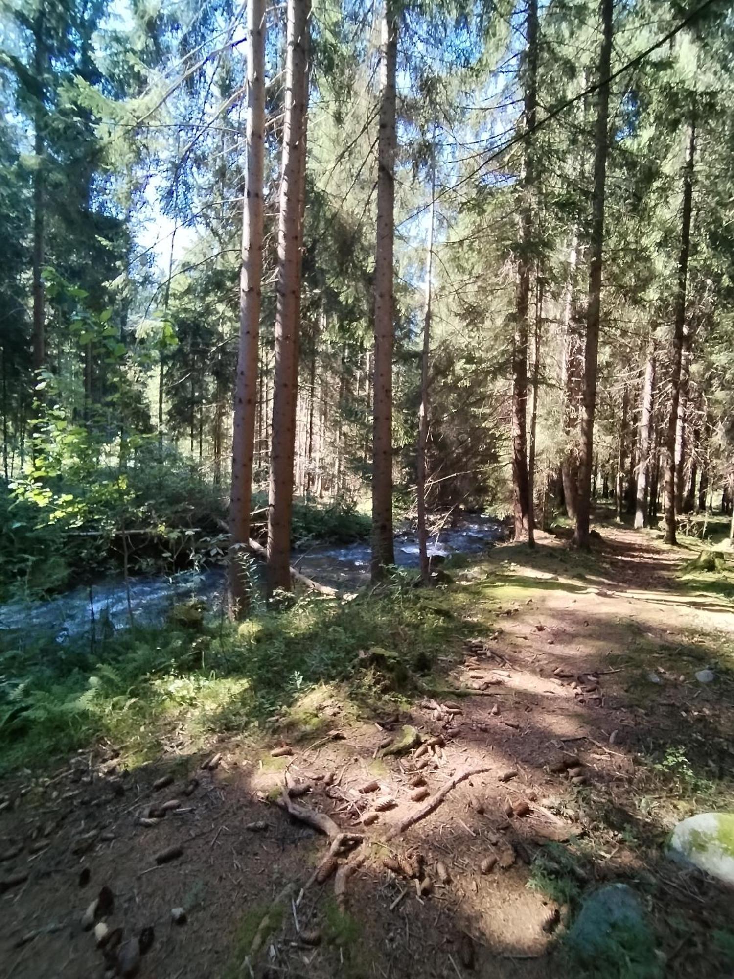 Penzion Real Žiar Eksteriør bilde